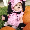 toy poodle halloween costume