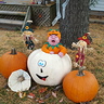 Photo #2 - Little Pumpkin