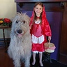 Photo #3 - Little Red Riding Hood and The Big Bad Wolf