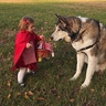 Photo #3 - Little Red Riding Hood and the Big Bad Wolf
