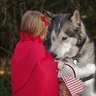 Photo #4 - Little Red Riding Hood and the Big Bad Wolf