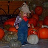 Photo #1 - Little Scarecrow