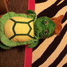 Photo #3 - Little Turtle