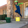 Photo #3 - Luigi