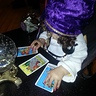 Photo #2 - Madam Anzley Fortune Teller
