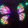 Photo #2 - Magic Butterfly