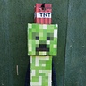 Photo #1 - Mionecraft creeper all charged up