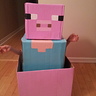 Minecraft Steve Costume DIY