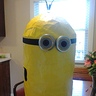 Photo #5 - Minion