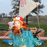 Moana's Hei Hei Baby Halloween Costume