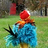 Moana's Hei Hei Baby Halloween Costume
