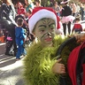 Photo #2 - Mr. Grinch