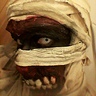 Photo #3 - Mummified