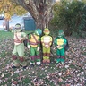 Photo #1 - Super Ninja Turtles