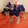 Photo #1 - Officer Dog