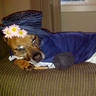 Old Lady Dog's Costume - Photo 3/3