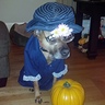 Old Lady Dog's Costume - Photo 3/3