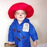 Photo #1 - Ace the Paddington Bear