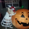 Photo #2 - Pammywise the Dancing Clown