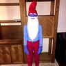 Papa Smurf Costumes | DIY Costumes Under $35