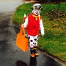 Photo #3 - Paw Patrol Marshall Costume