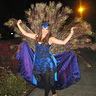 Photo #10 - Peacock