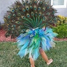 Photo #2 - Peacock