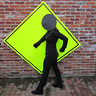 Photo #2 - Pedestrian Crossing Sign