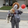Photo #4 - Pennywise and his Dog