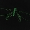 Photo #6 - Glow in the dark Sphinx moth of Orchid Costume