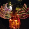 Photo #4 - Pheonix costume with lights back