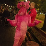 Photo #1 - Epic HomeMade Pink Panther!