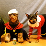 Photo #4 - Popeye, Olive Oyl and Brutus