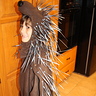 Photo #3 - Side view of porcupine