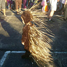 Photo #1 - My little porcupine