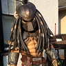 Photo #2 - Predator