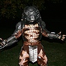 Photo #3 - Predator