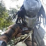 Photo #1 - Predator Jungle Hunter
