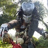 Photo #2 - Predator Jungle Hunter