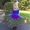 Photo #1 - Shake that Peacock Tail