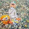 Photo #4 - Pumpkin Baby