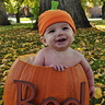 Photo #1 - Pumpkins are way better than clothes!
