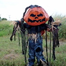 Pumpkin Patch Scarecrow Costume | Creative DIY Ideas