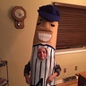 Racing Sausage Costume | DIY Costumes Under $35