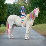 Photo #1 - Rainbow Brite and Starlite