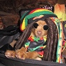 Photo #2 - Bob Marley Dog costume!