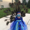 Photo #2 - Runway Peacock
