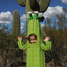Photo #2 - Saguaro Cactus