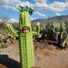 Photo #3 - Saguaro Cactus