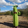 Photo #8 - Saguaro Cactus